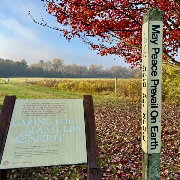 Guided Meditation Trail Walk - logo